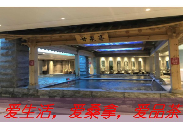 南宁凤楼小姐的传统文化传承-南宁风楼群