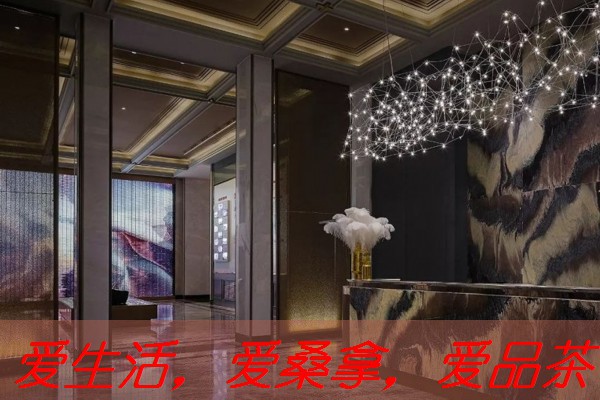 南宁桑拿服务大全：推荐几家提供全套服务的优质桑拿-南宁按摩spa